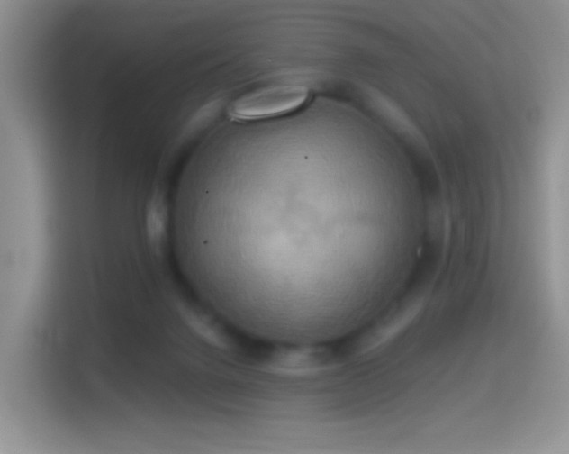 X0000114420072200910231214