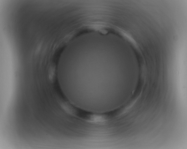 X0000114420073200910231214