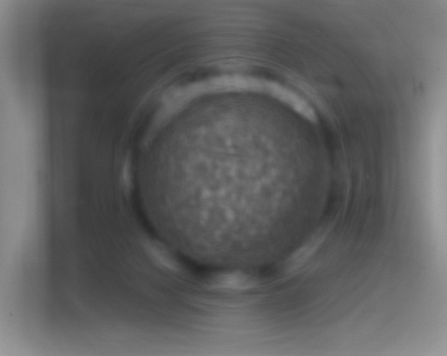 X0000114420074200910231215