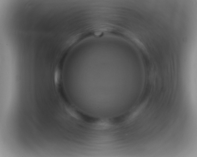 X0000114420076200910231215