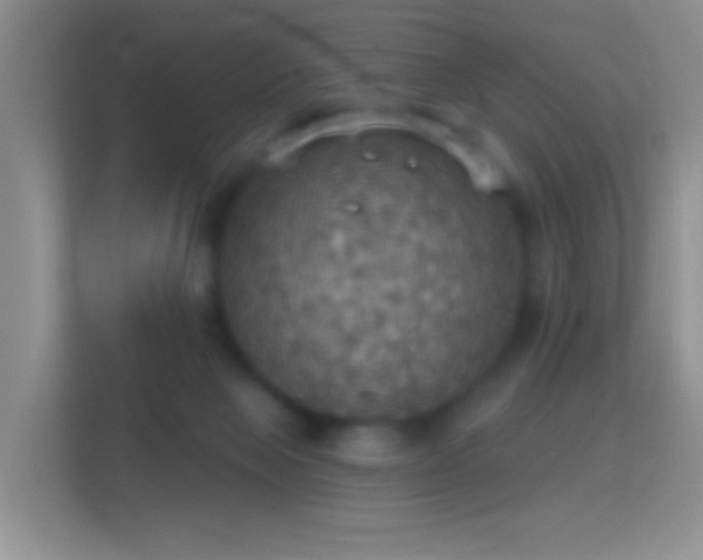 X0000114420077200910231215