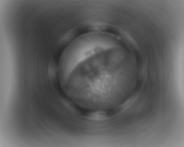 X0000114420078200910231215