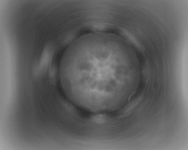 X0000114420079200910231215