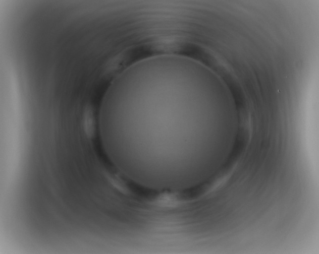 X0000114420080200910231215