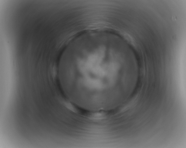 X0000114420081200910231215