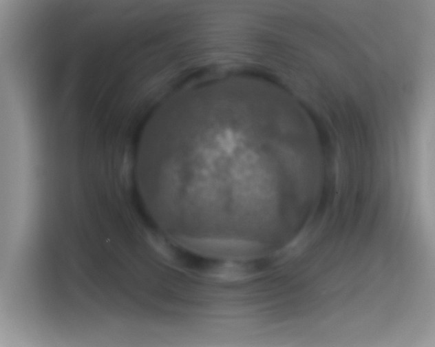 X0000114420082200910231215