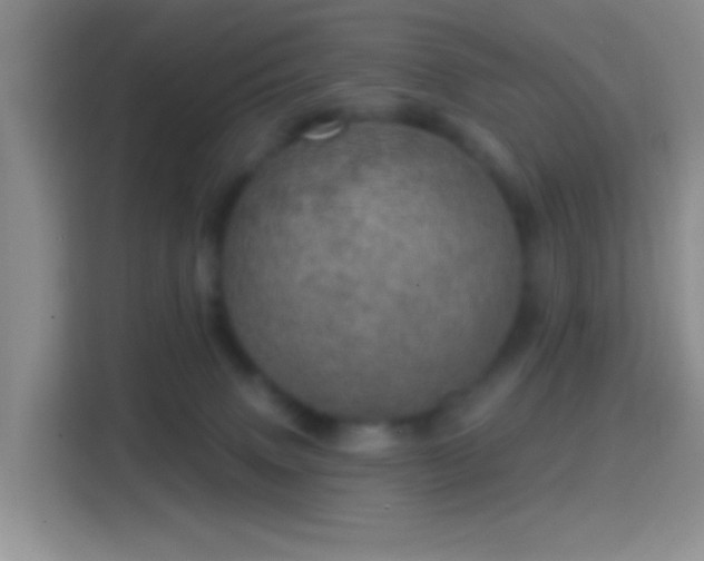X0000114420083200910231215