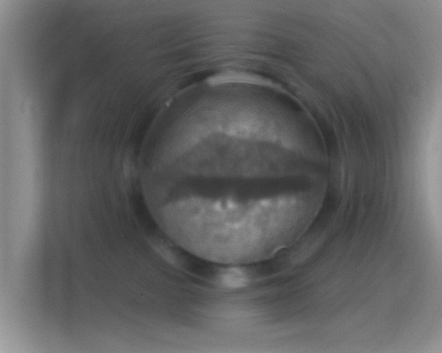X0000114420091200910231215