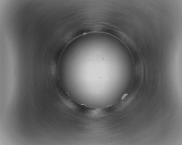 X0000114420092200910231215