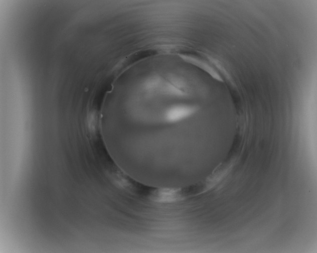 X0000114420093200910231215