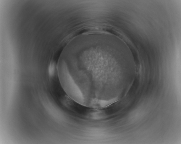 X0000114420095200910231215