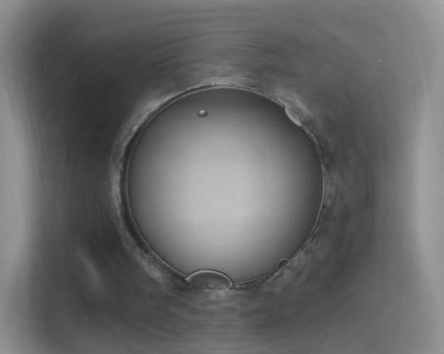 X0000114420098200910231214