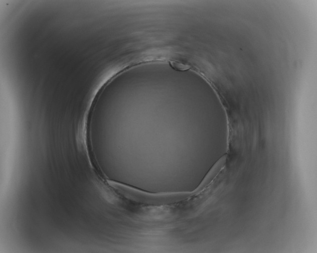 X0000114420100200910231214