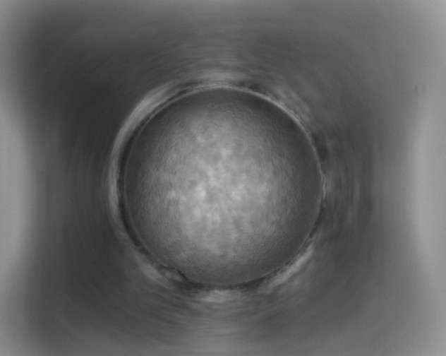 X0000114420101200910231214