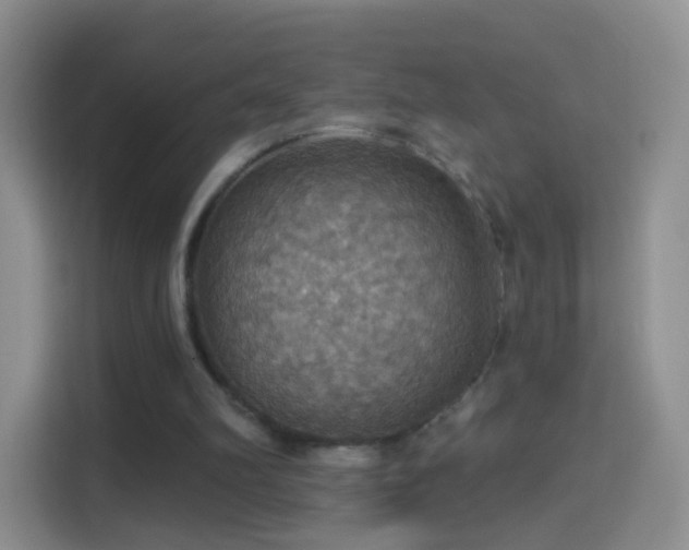 X0000114420102200910231214