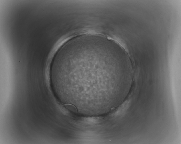 X0000114420103200910231214
