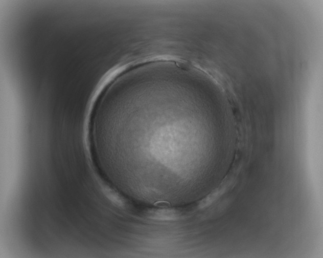 X0000114420104200910231214