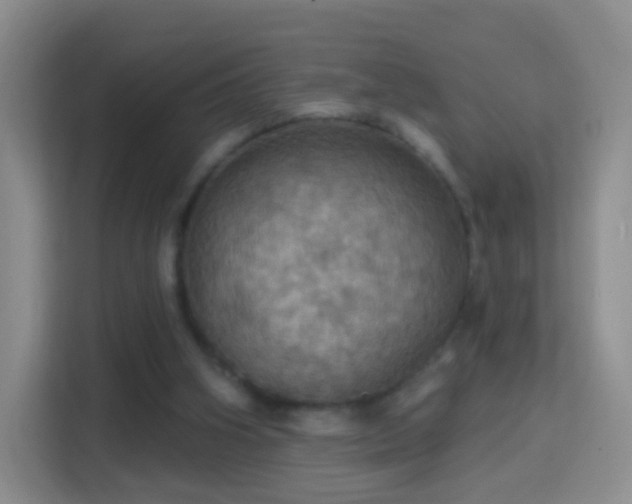 X0000114420106200910231214