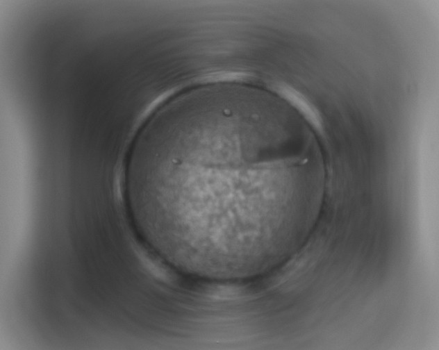 X0000114420107200910231214
