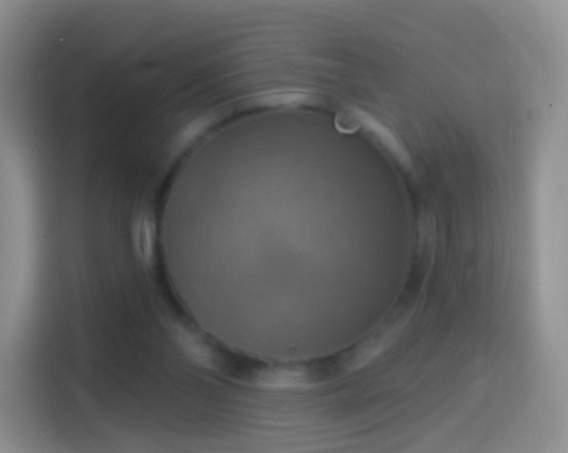 X0000114420110200910231214