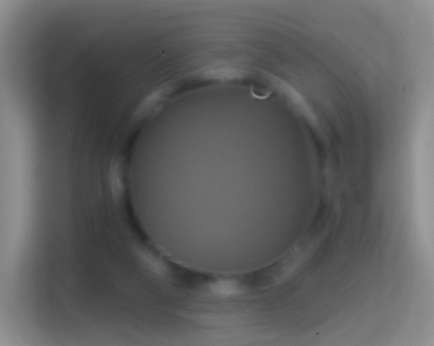 X0000114420114200910231214