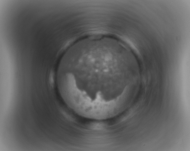 X0000114420115200910231214
