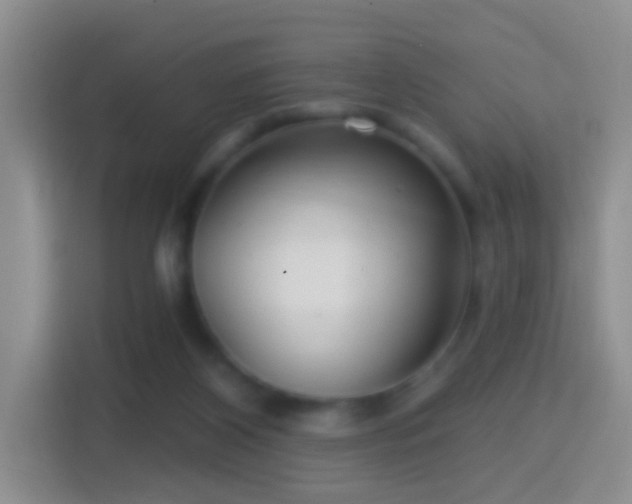 X0000114420116200910231214