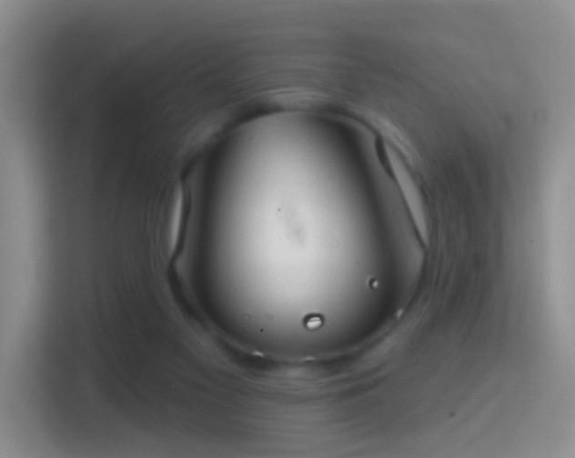 X0000114420117200910231214