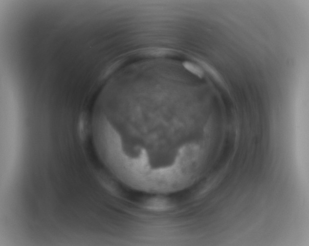 X0000114420119200910231214