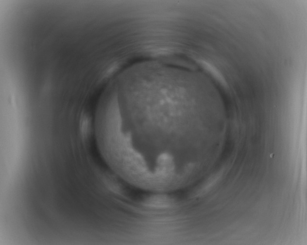 X0000114420123200910231214
