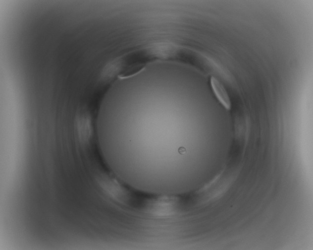 X0000114420128200910231214