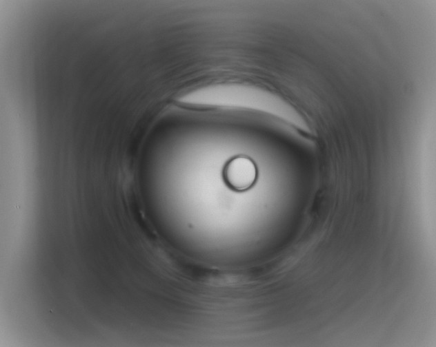 X0000114420129200910231214