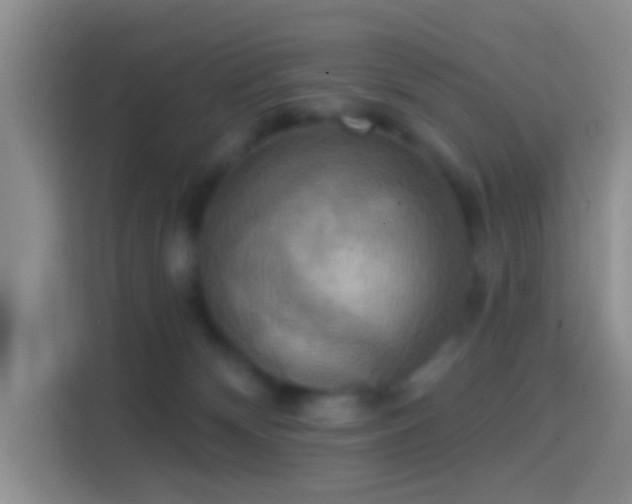X0000114420132200910231214