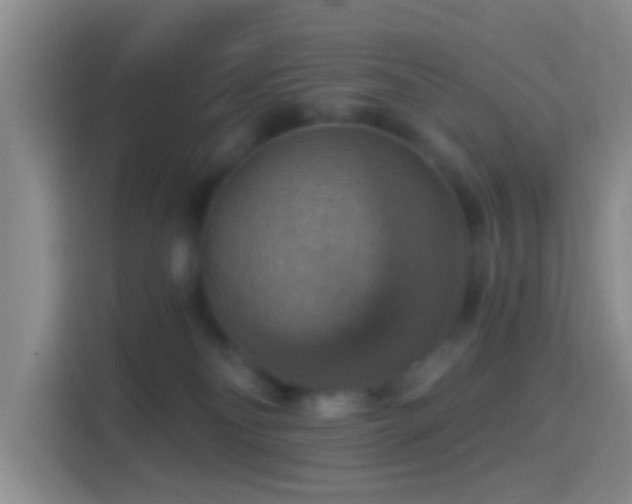 X0000114420134200910231214