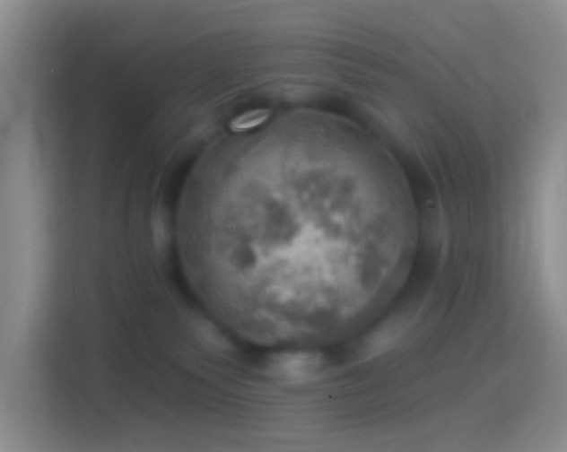 X0000114420135200910231214