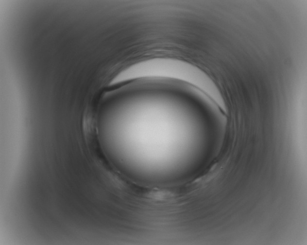 X0000114420137200910231214