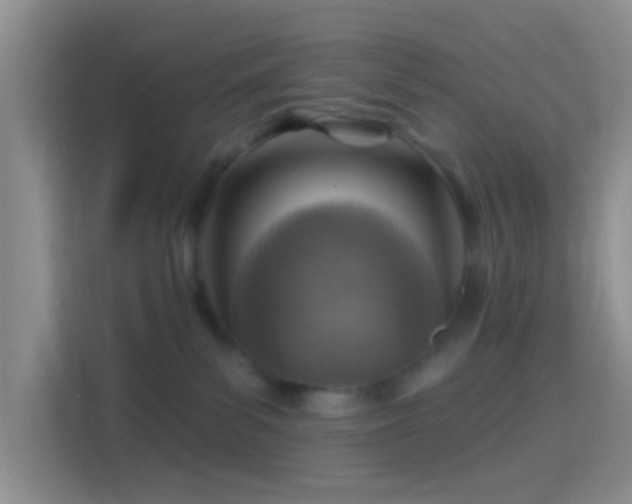 X0000114420139200910231214