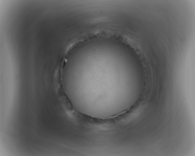 X0000114420144200910231214