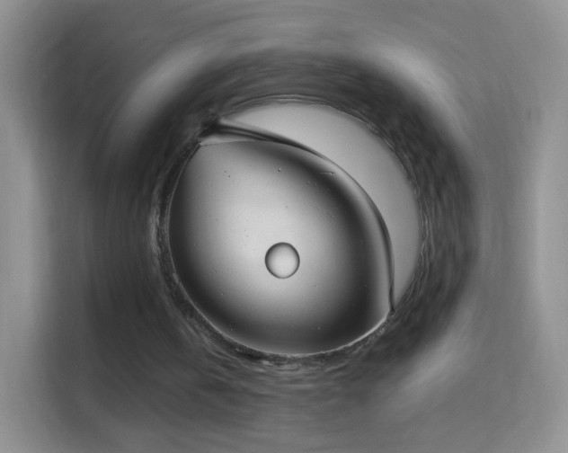 X0000114420146200910231213