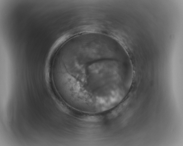 X0000114420149200910231213