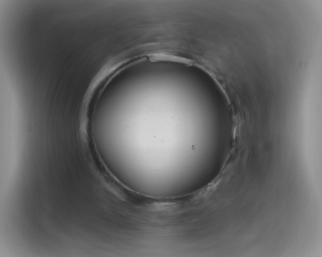 X0000114420150200910231213
