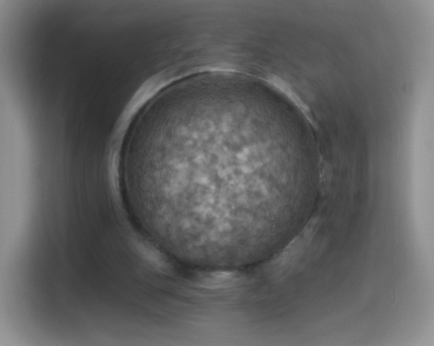 X0000114420151200910231213