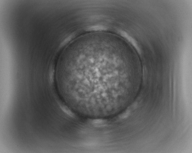 X0000114420153200910231213
