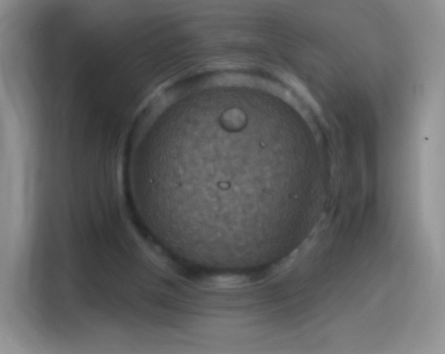 X0000114420154200910231213