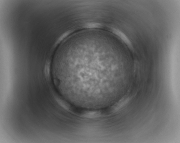X0000114420155200910231213