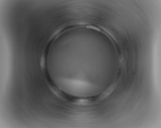 X0000114420158200910231213