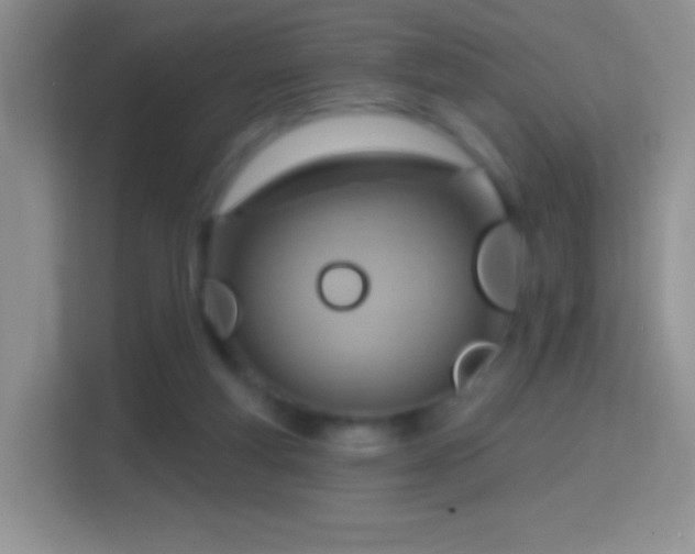 X0000114420163200910231213