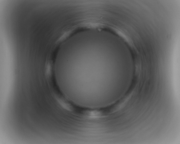 X0000114420165200910231213