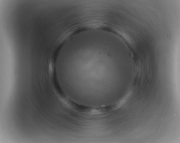 X0000114420166200910231213