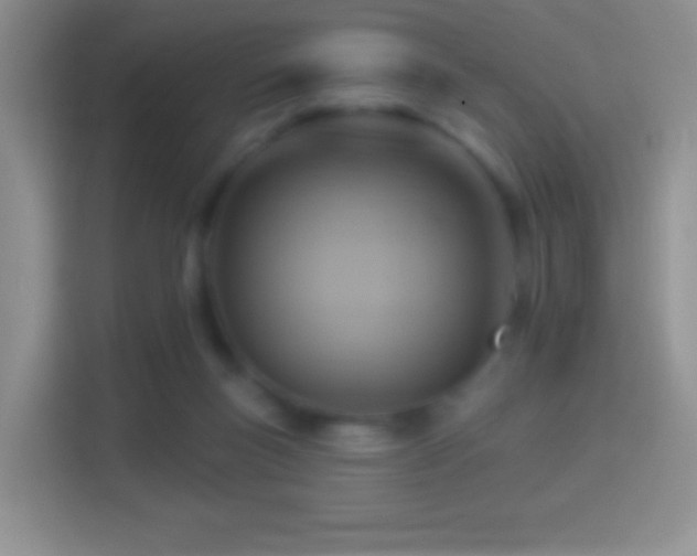 X0000114420167200910231213